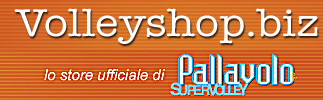Inserisci un'immagine (800x500)