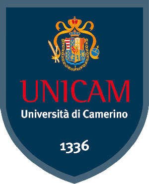 Inserisci un'immagine (800x500)